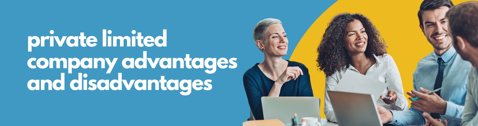 110325 - Formations Wise - private limited company advantages and disadvantages (1)