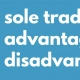 Formations Wise - Sole Trader Advantages and Disadvantages