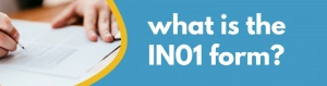 Formations Wise - What is the IN01 form