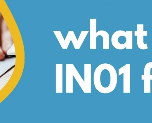 Formations Wise - What is the IN01 form