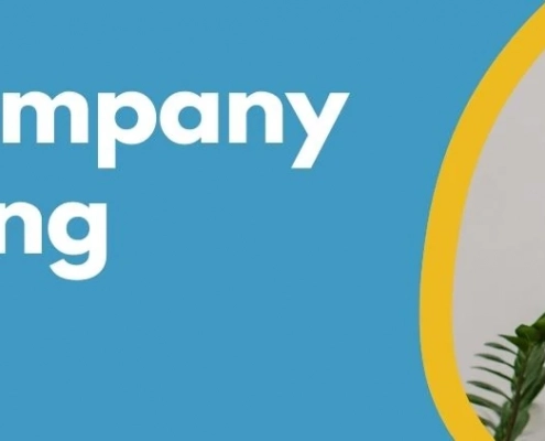 Formations Wise - holding company vs operating company