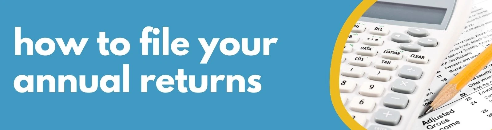 Formations Wise - how to file your annual returns Formations Wise - how to file your annual returns hero image