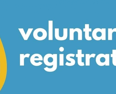 Formations Wise - voluntary VAT registration