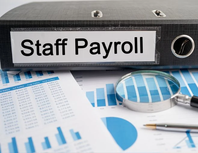 PAYE Registration Services - Formations Wise PAYE Registration Services - Formations Wise