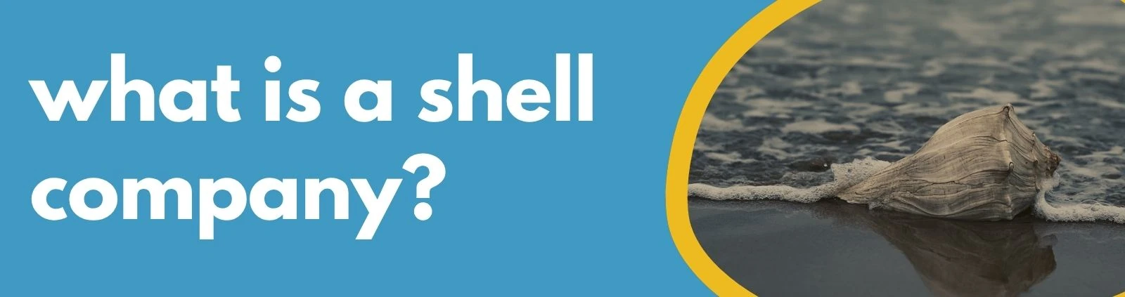 Formations Wise - What is a shell company