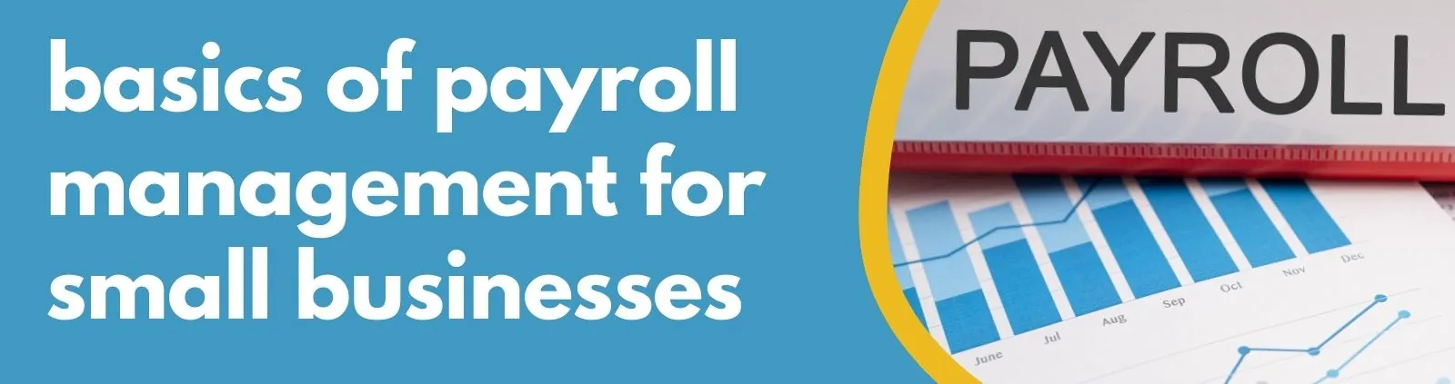 Formations Wise - The Basics of Payroll Management for Small Businesses Formations Wise - The Basics of Payroll Management for Small Businesses