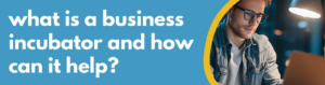 Formations Wise - what is a business incubator and how can it help - new